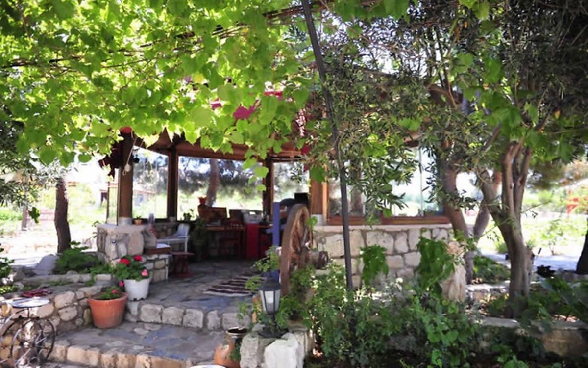 Aral Tatil Çiftliği 2