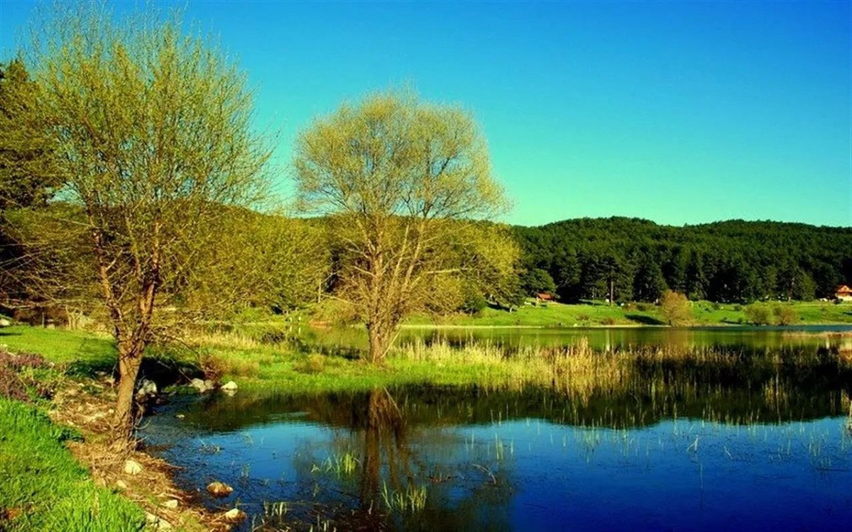 Ege Termal