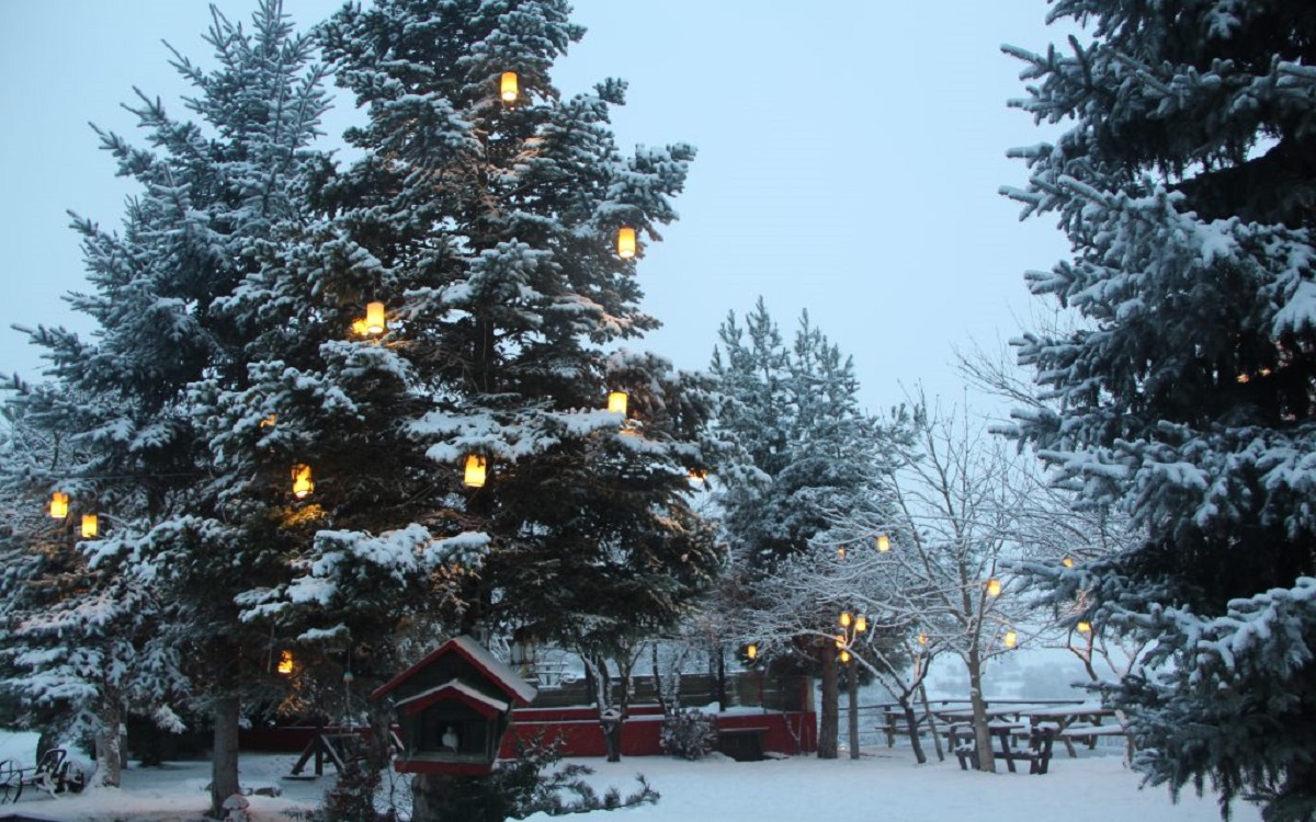 Kartaltepe Boutique Hotel 4