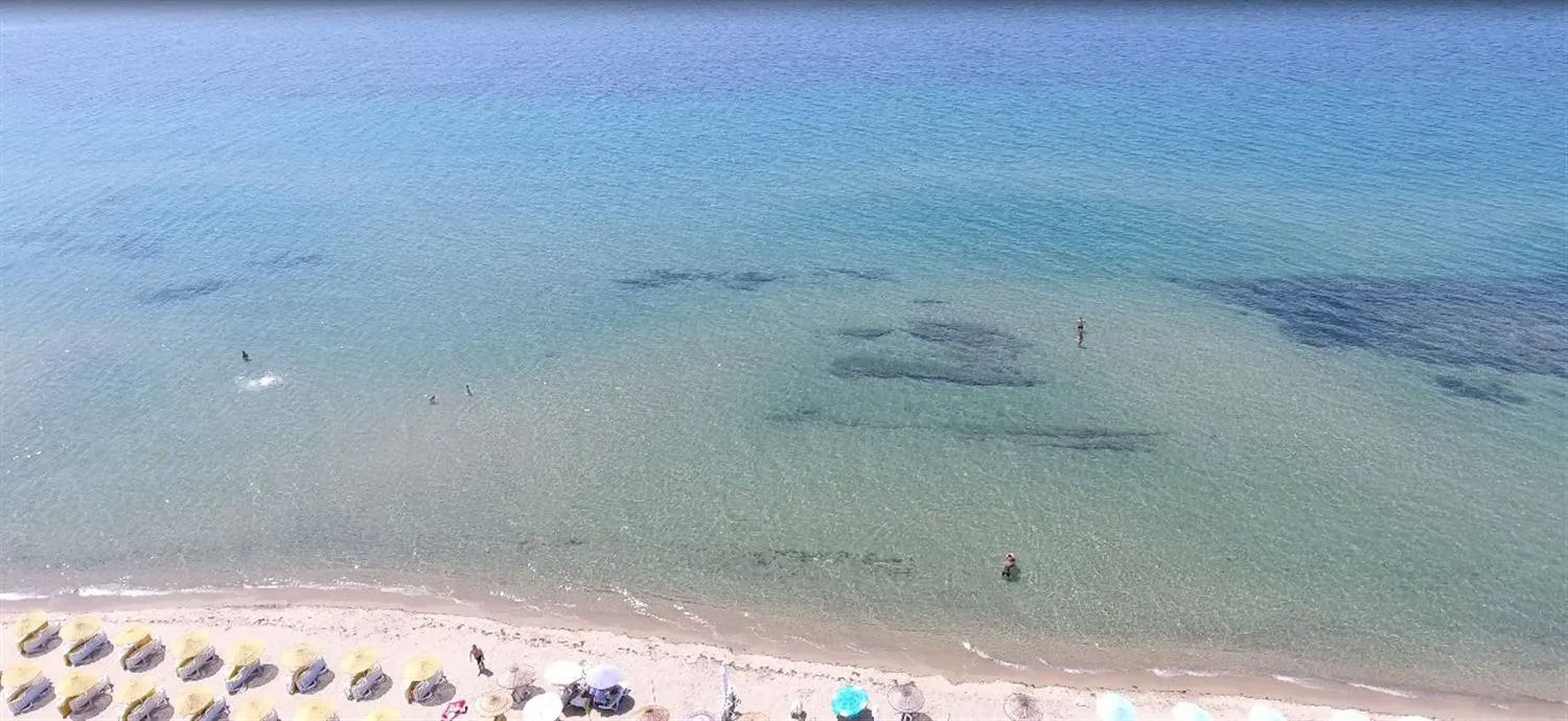 Hotel Palmera Resort 3