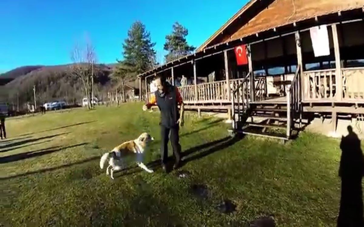Tekir Köy Evi 2