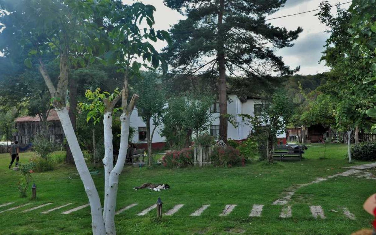 Tekir Köy Evi 3