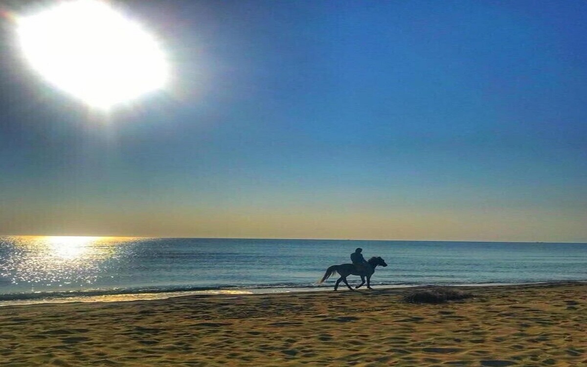 Nova Port Hotel Kumbağ 1