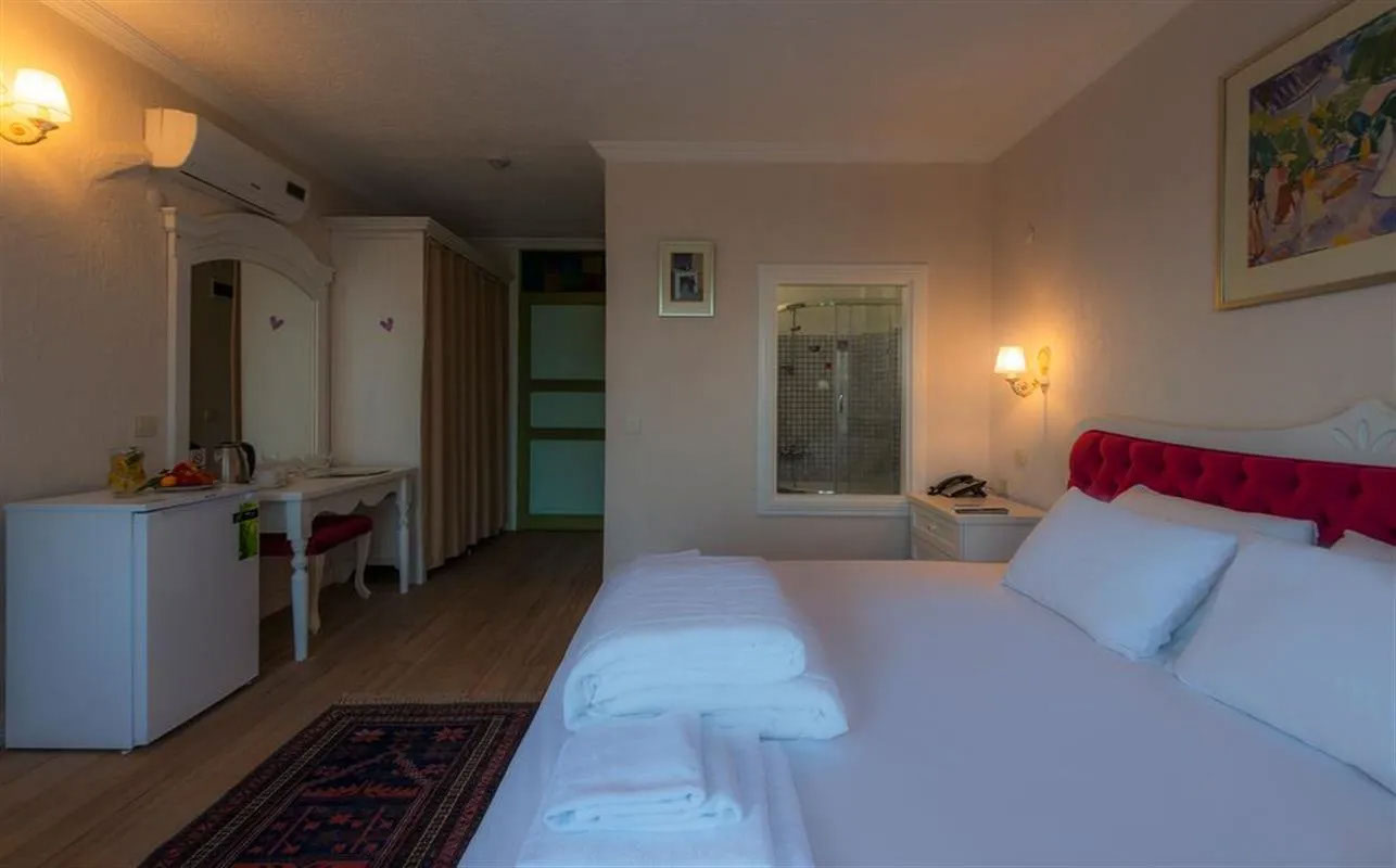 Aeneas Butik Hotel 1