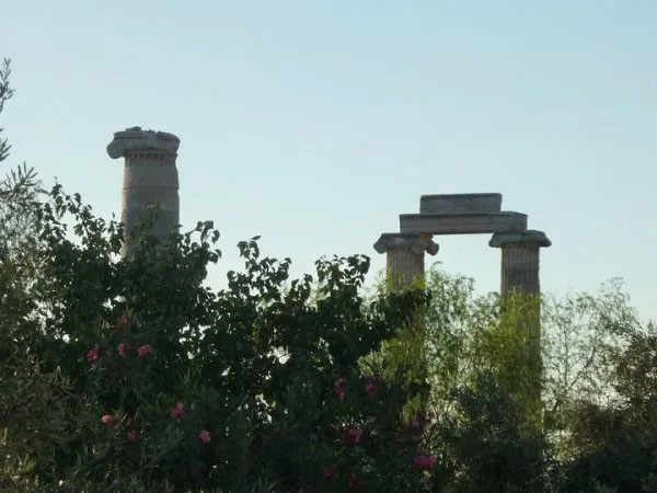 Medusa House Butik Otel 2