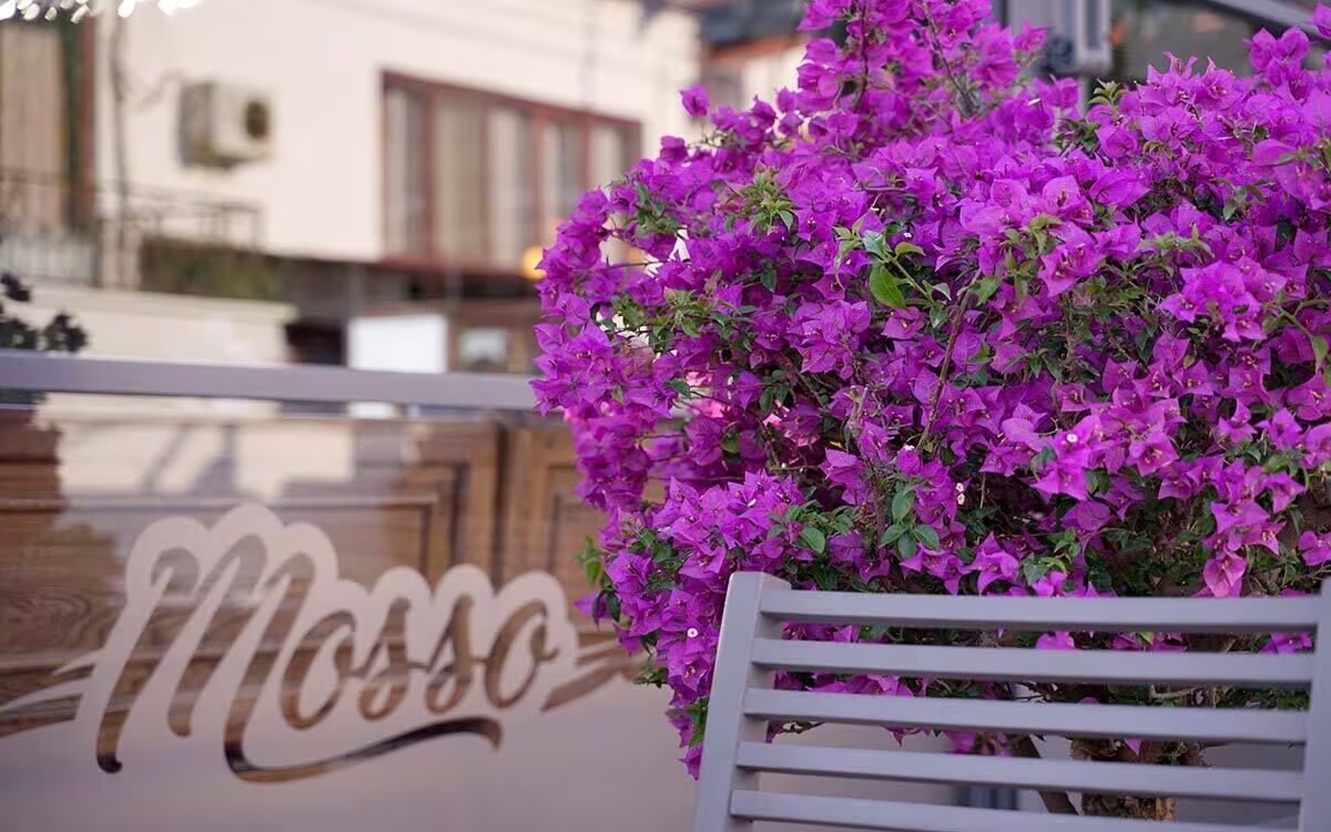 Mosso Boutique Hotel 3