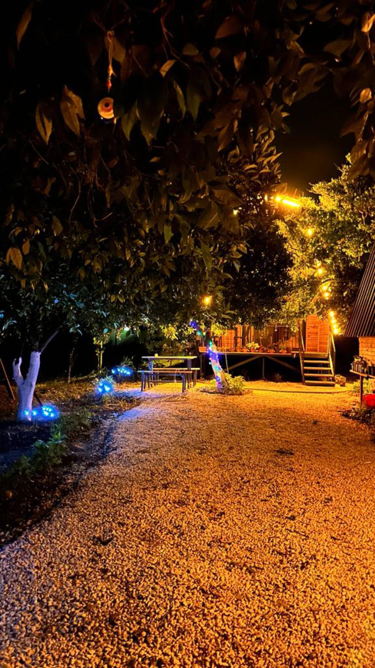 Orange Garden Bungalow 2