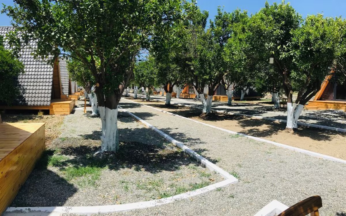 Limon Datça 4
