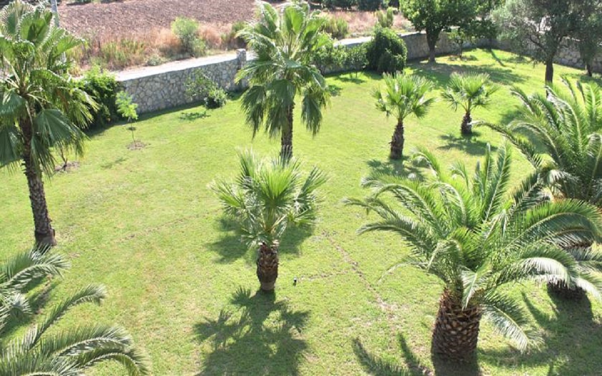 The Palm Apart Sarigerme 3