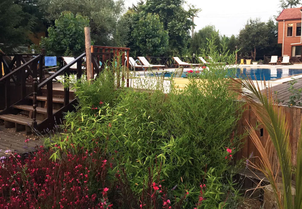 Ağva Robin's Nest Eco Resort 2