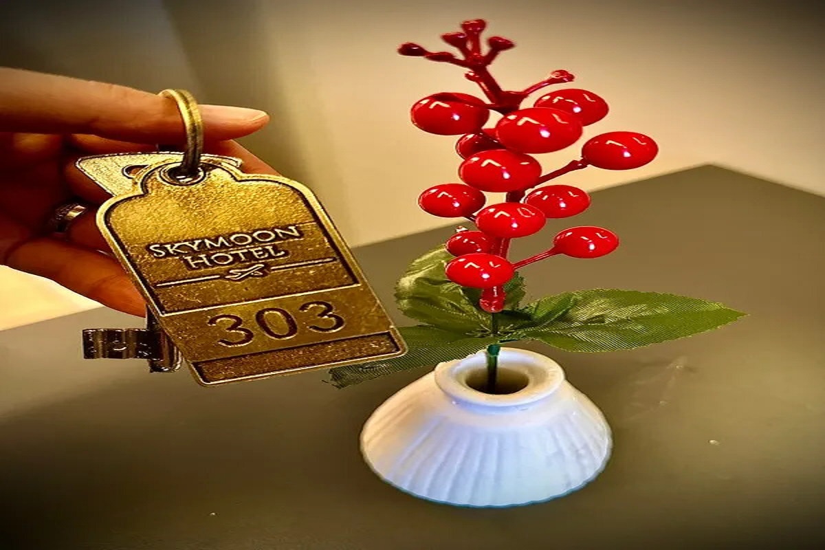 Skymoon Airport Hotel 4