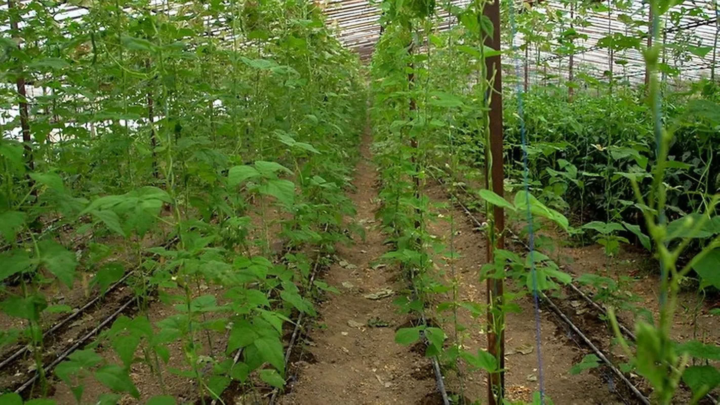 Balçova Termal Otel 4