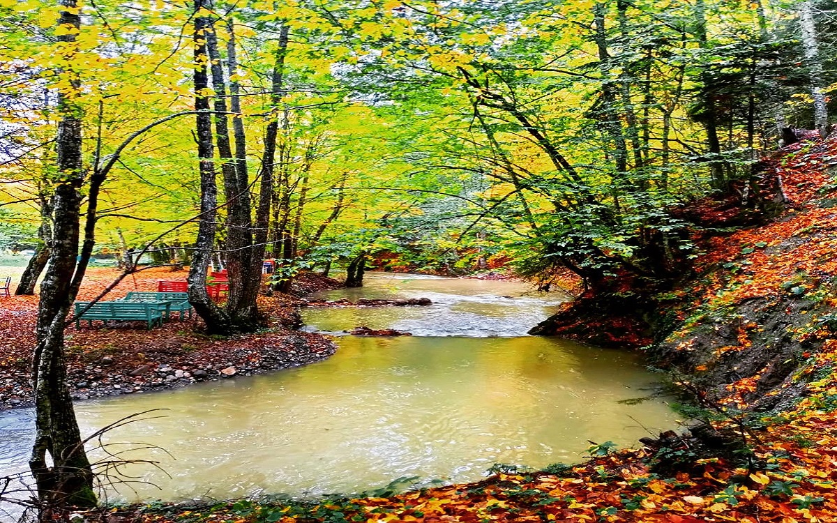 Abant Bahçeli Köşk