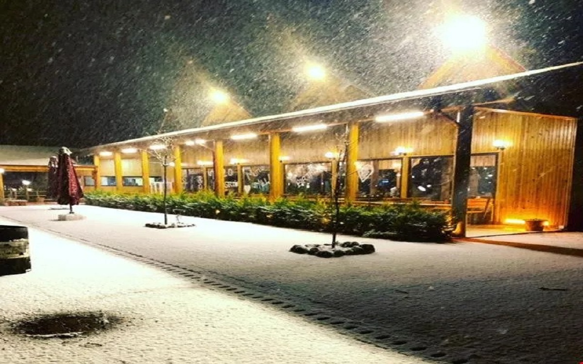 Abant Hitit Otel & Restaurant 4