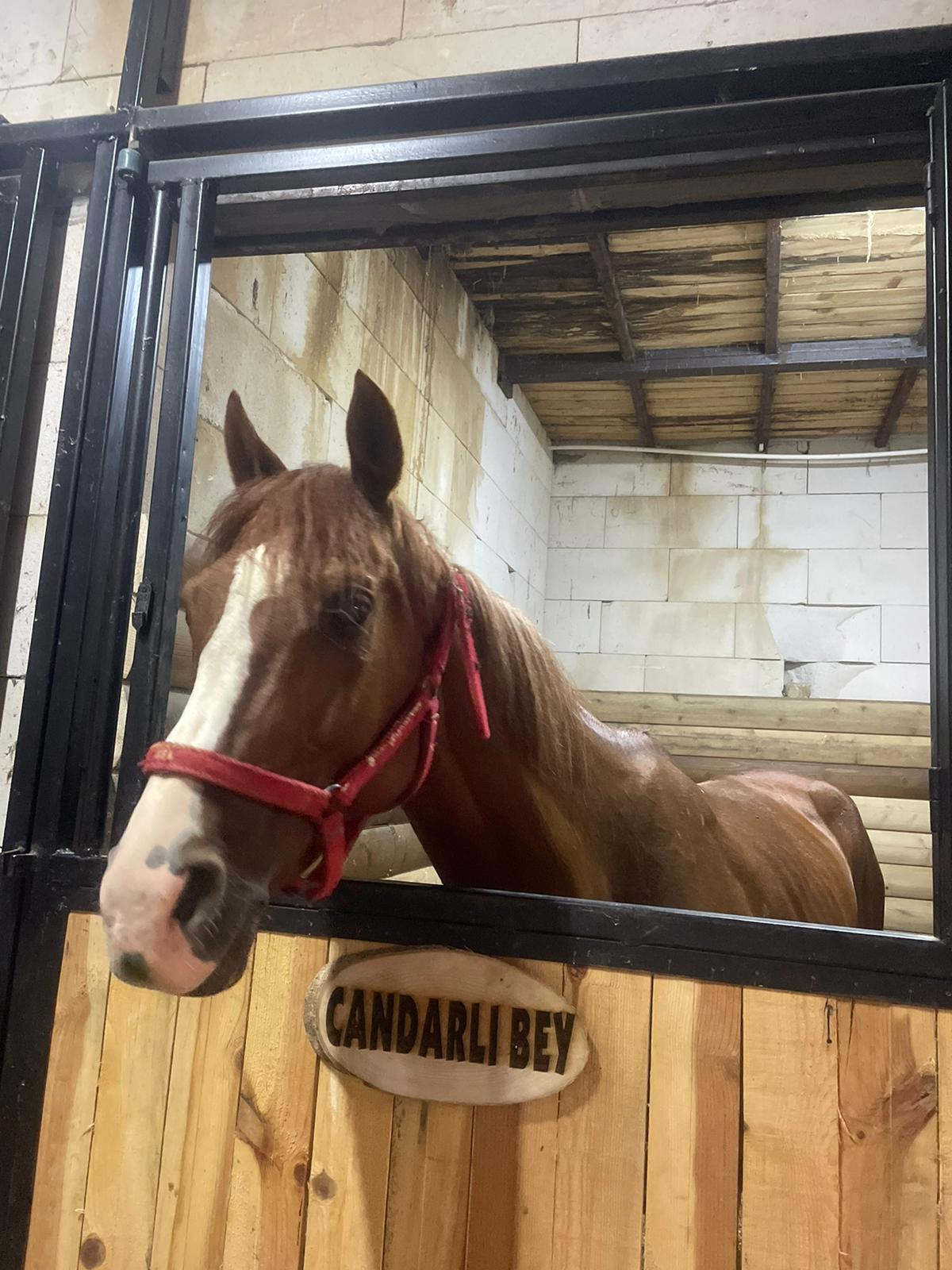 Candarlı Çiftliği 3