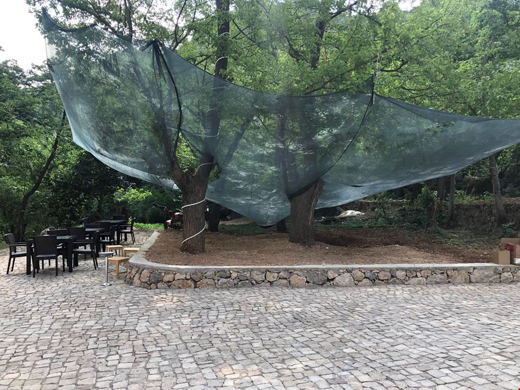 Vadi Kemaliye Hotel 3