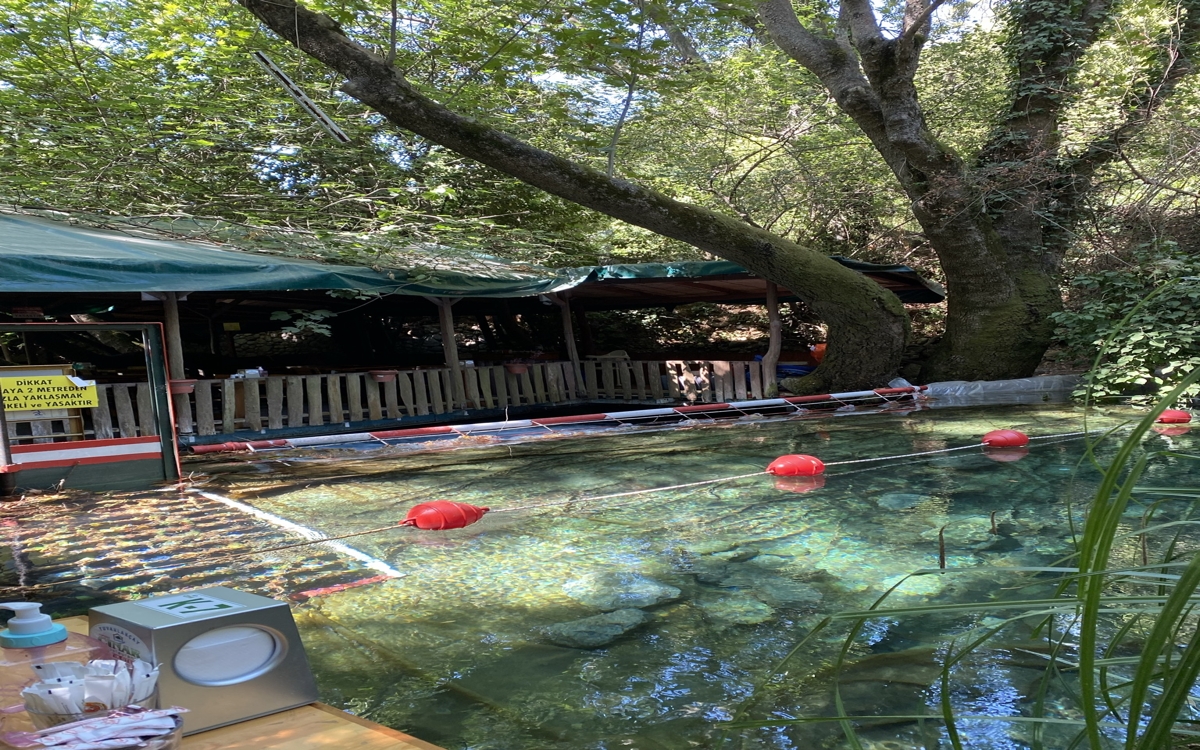 Yuvarlakçay Çınar Butik Otel 1