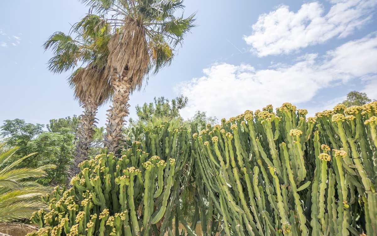 The Nix Hotel Patara 4