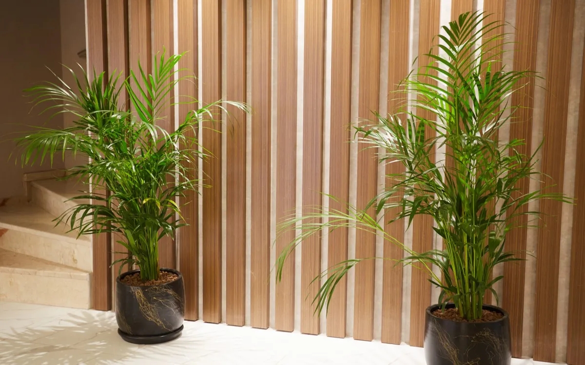 Mira Otel Alsancak 4