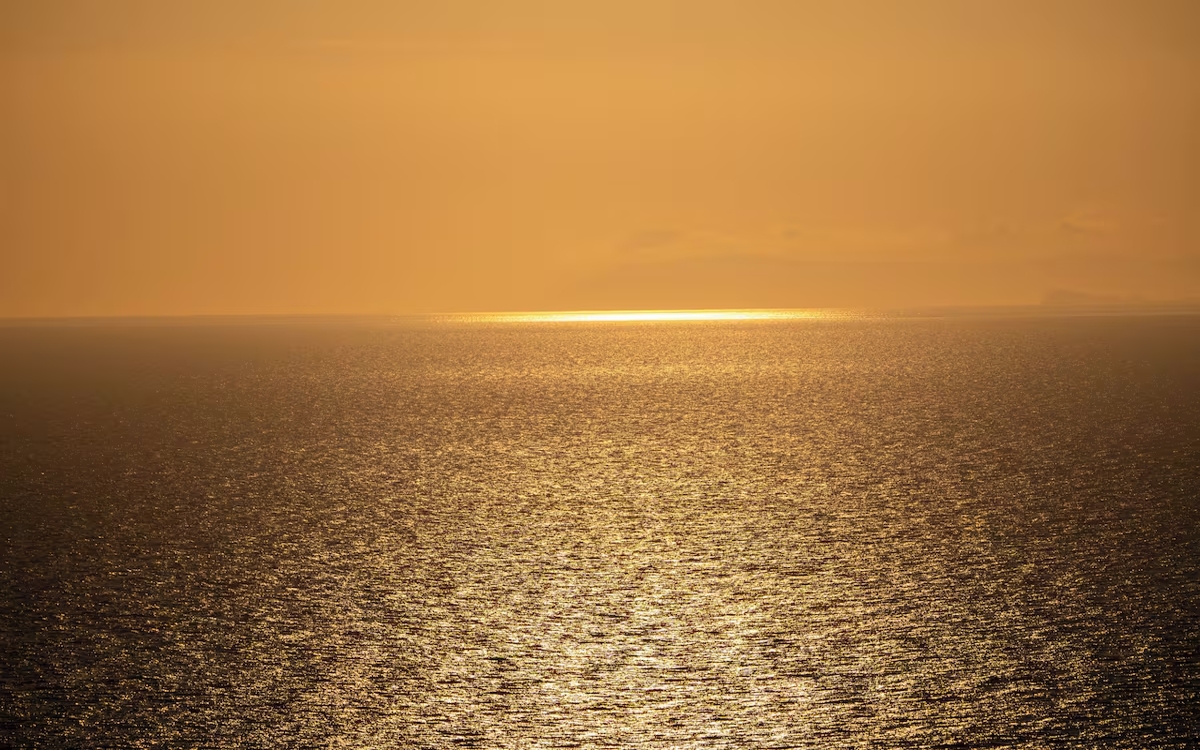 Otel Carpediem Gold Kuşadası 3