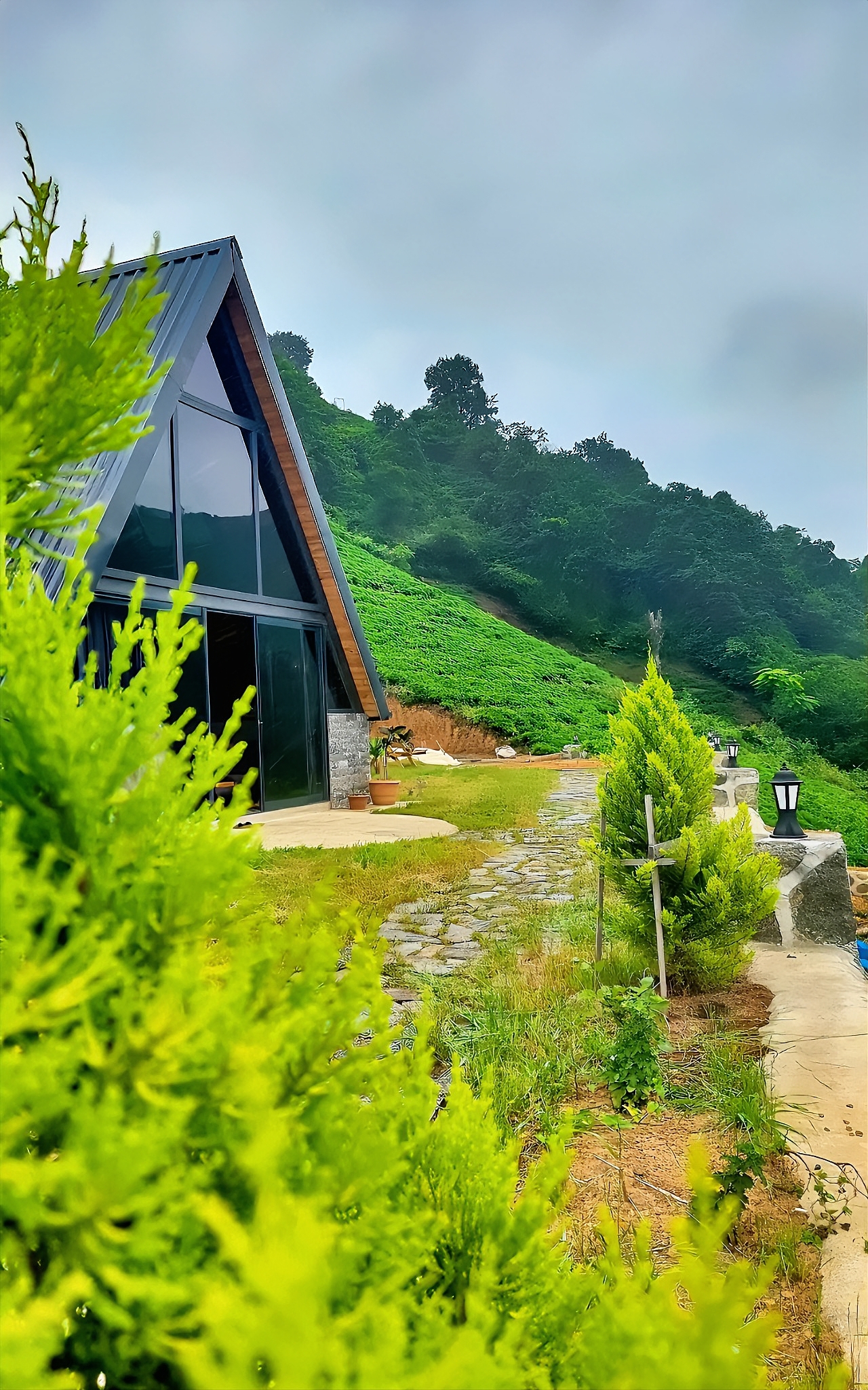 Paradise Valley Bungalow 2