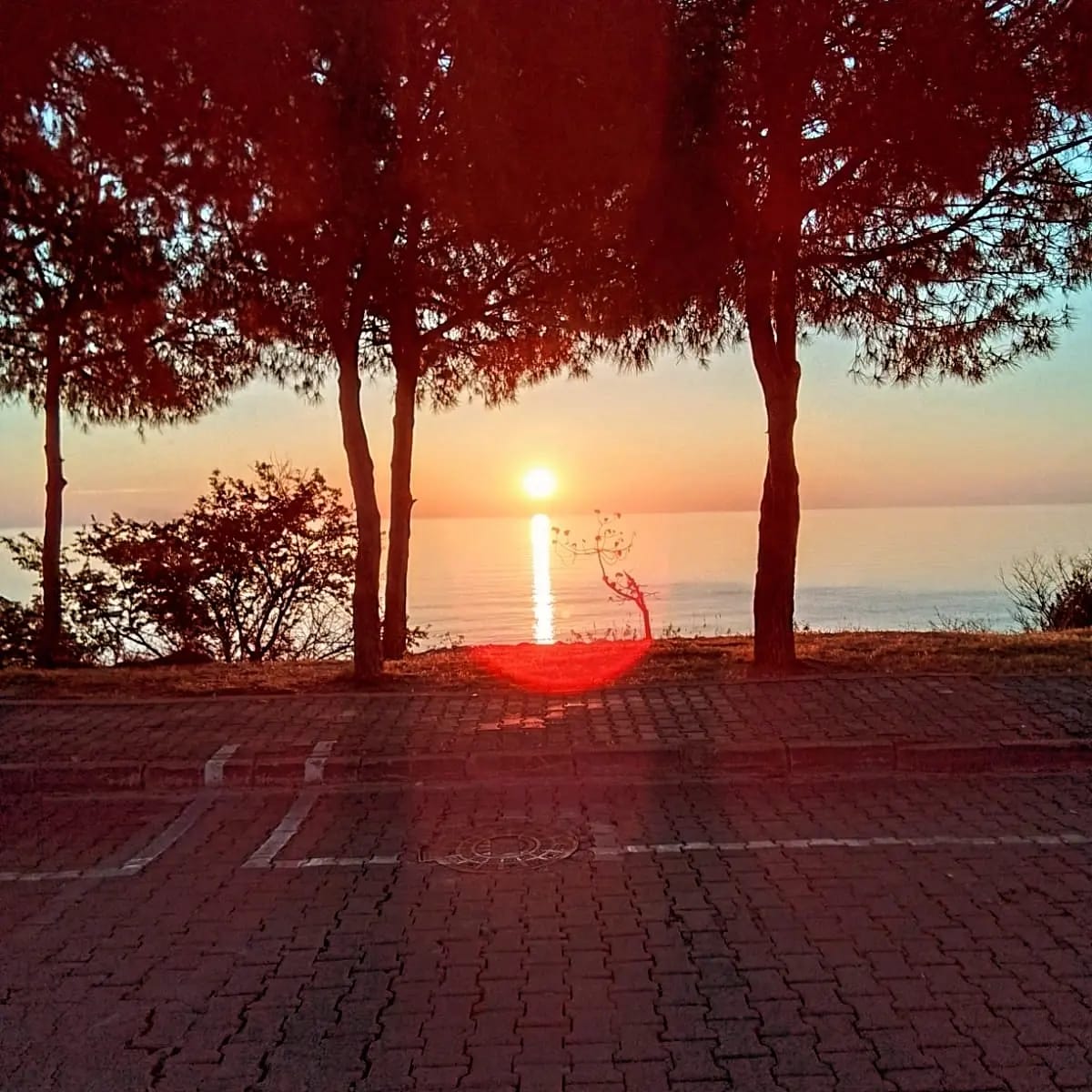 Gerze Beyaz Yalı Tatil Evi 2