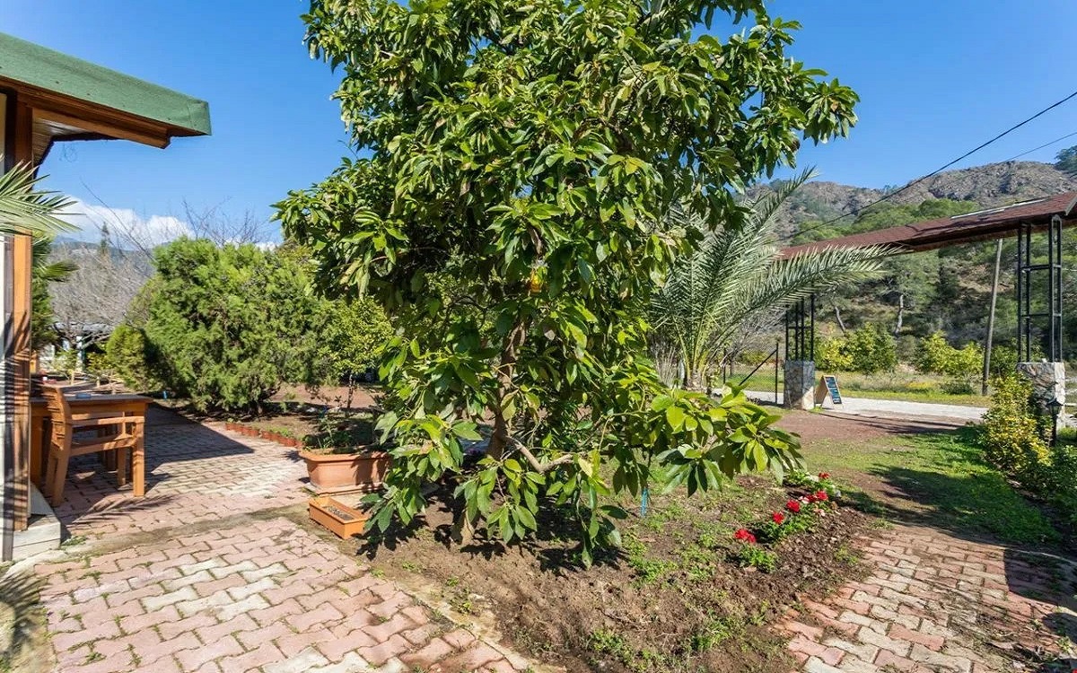 Likya Yanartas Bungalows 3