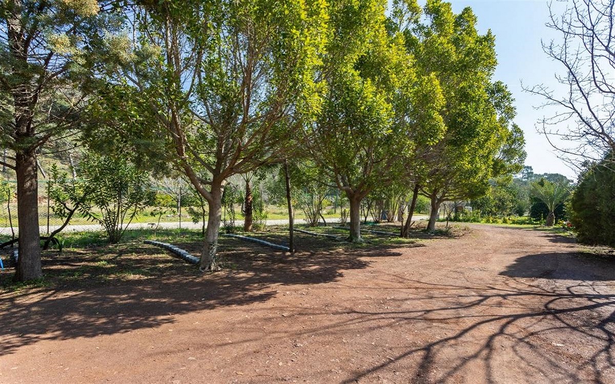 Likya Yanartas Bungalows 4