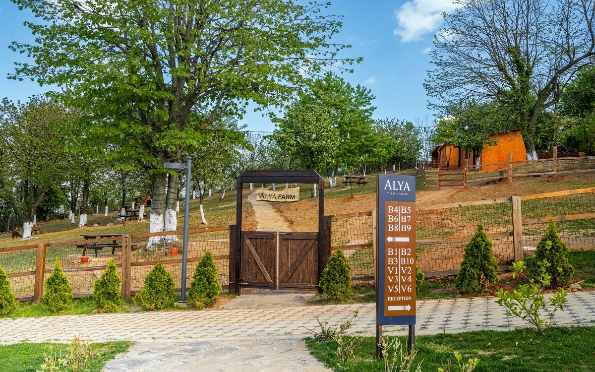 Alya Kartepe Villa Hotel 4