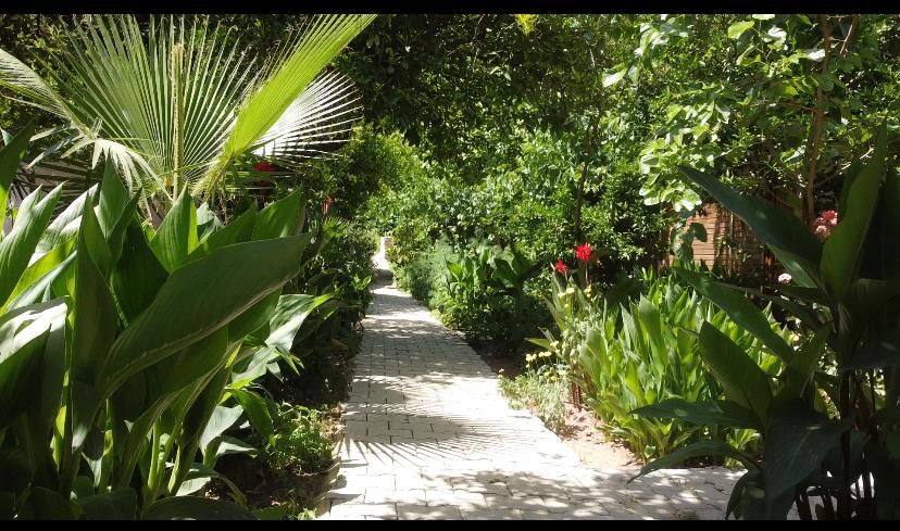 Olimpos Mercan Bungalow 1