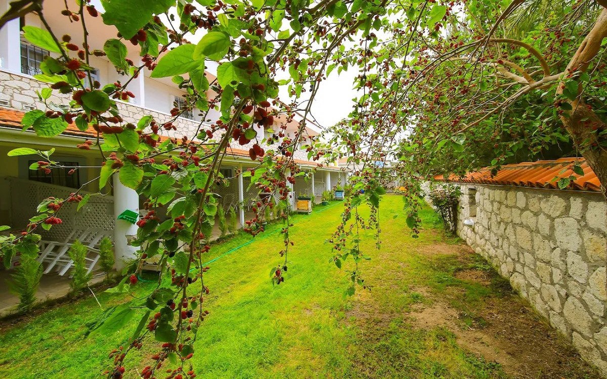 Alasonya Otel Alaçatı By Lamira 1