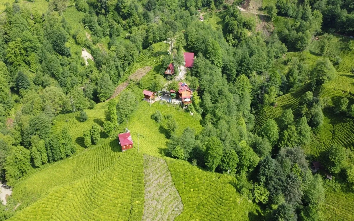 Elagza Dağ Evleri 2