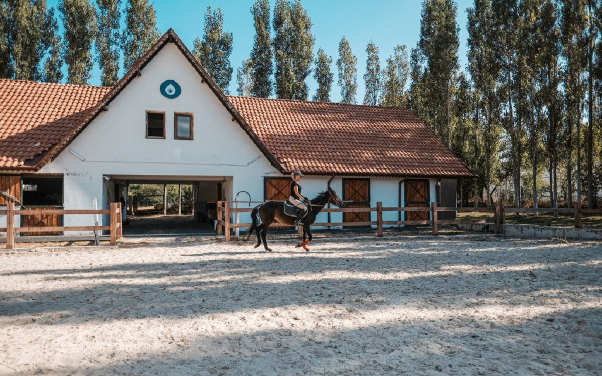 Gölköy Yaşam Resort 2