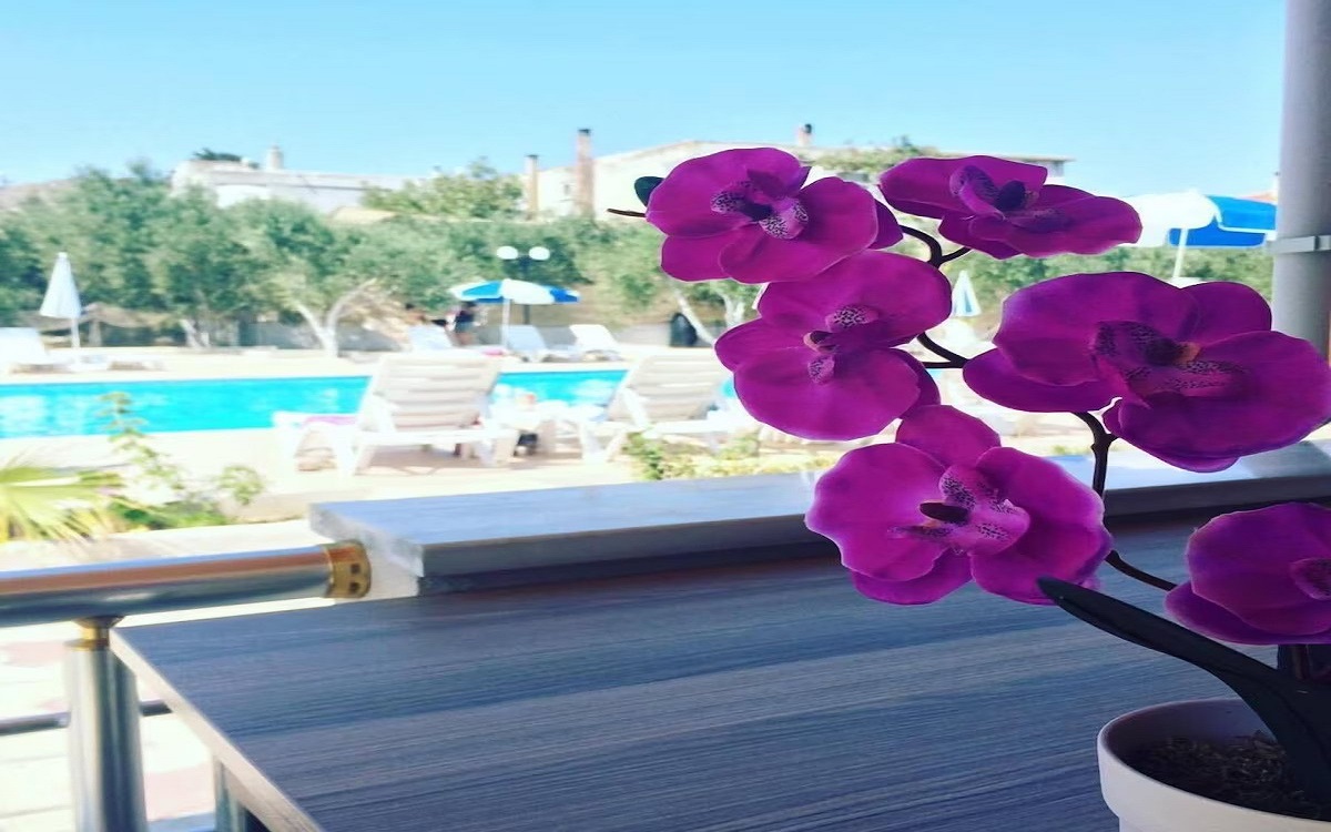 Afissia Garden Hotel 3