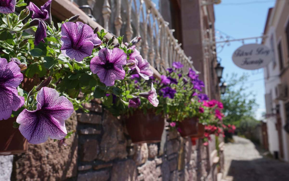 Fikret Bey Konağı 1