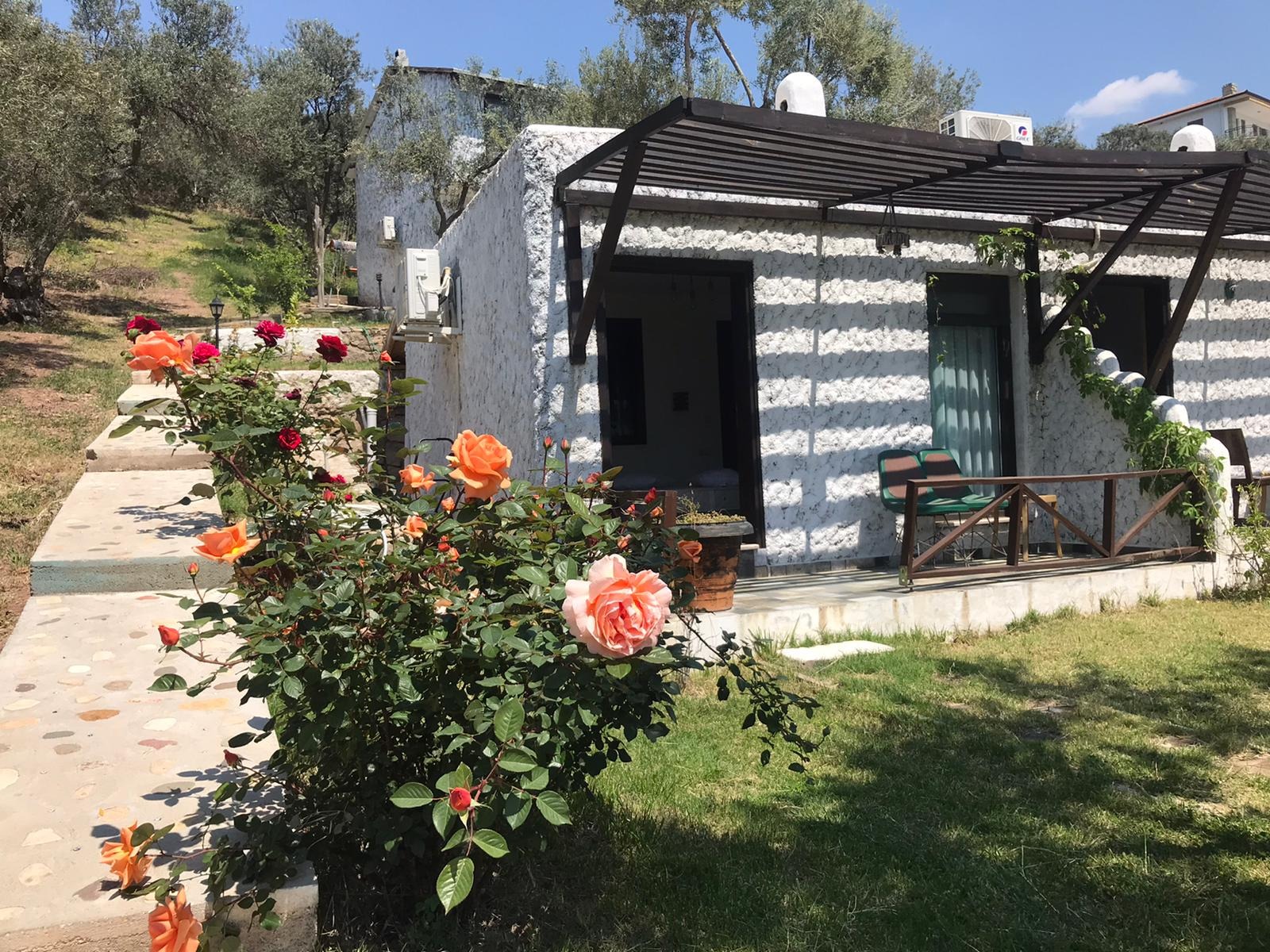 Assos Kotti Margot Butik 3