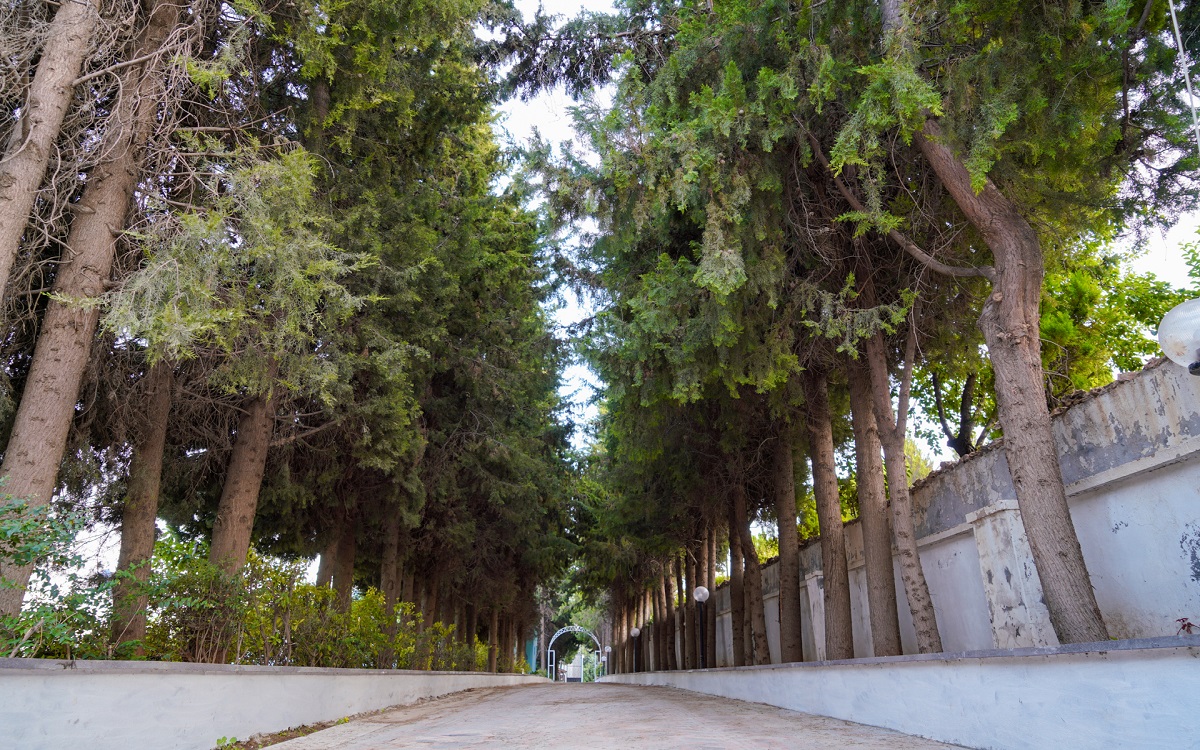 Uğurlu Termal Tatil Köyü 4