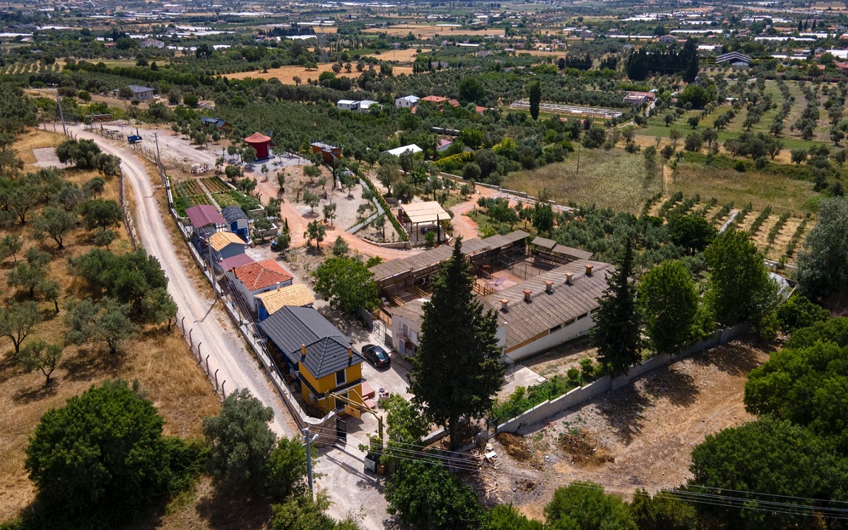 Urlachi Çiftliği 4