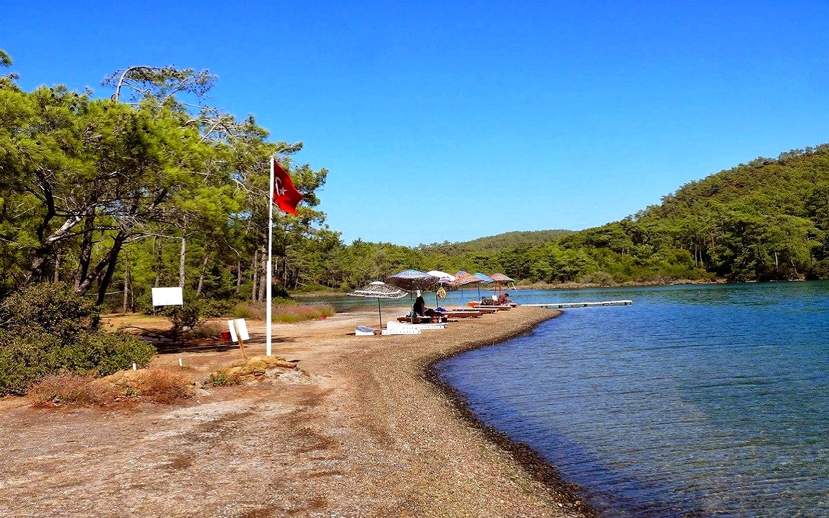 Club Amazon Bördübet 1