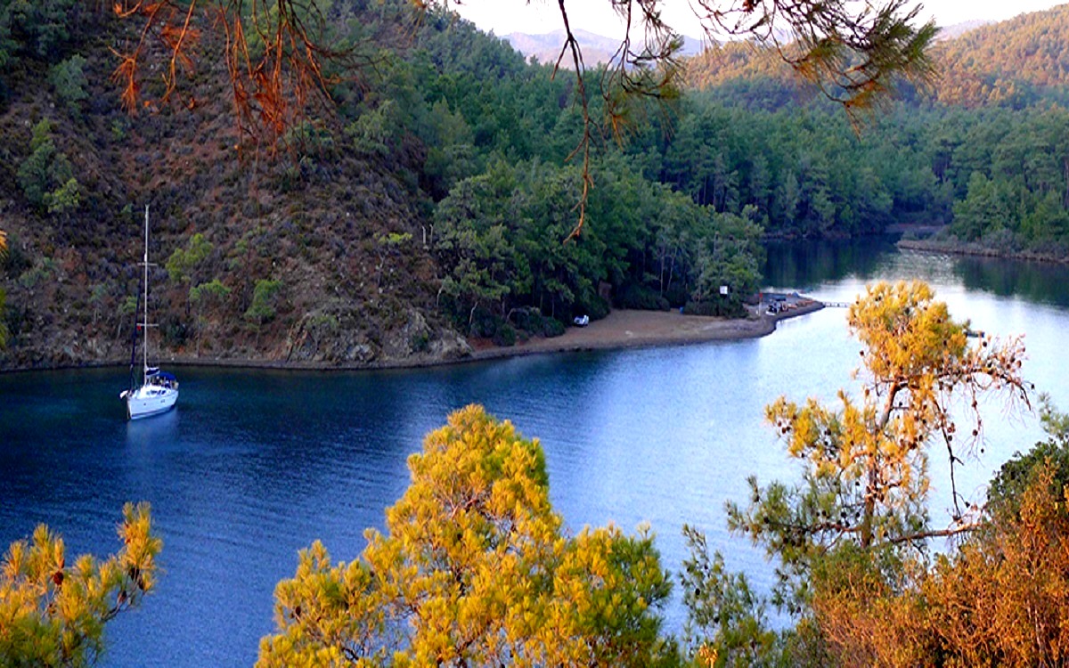 Club Amazon Bördübet 4