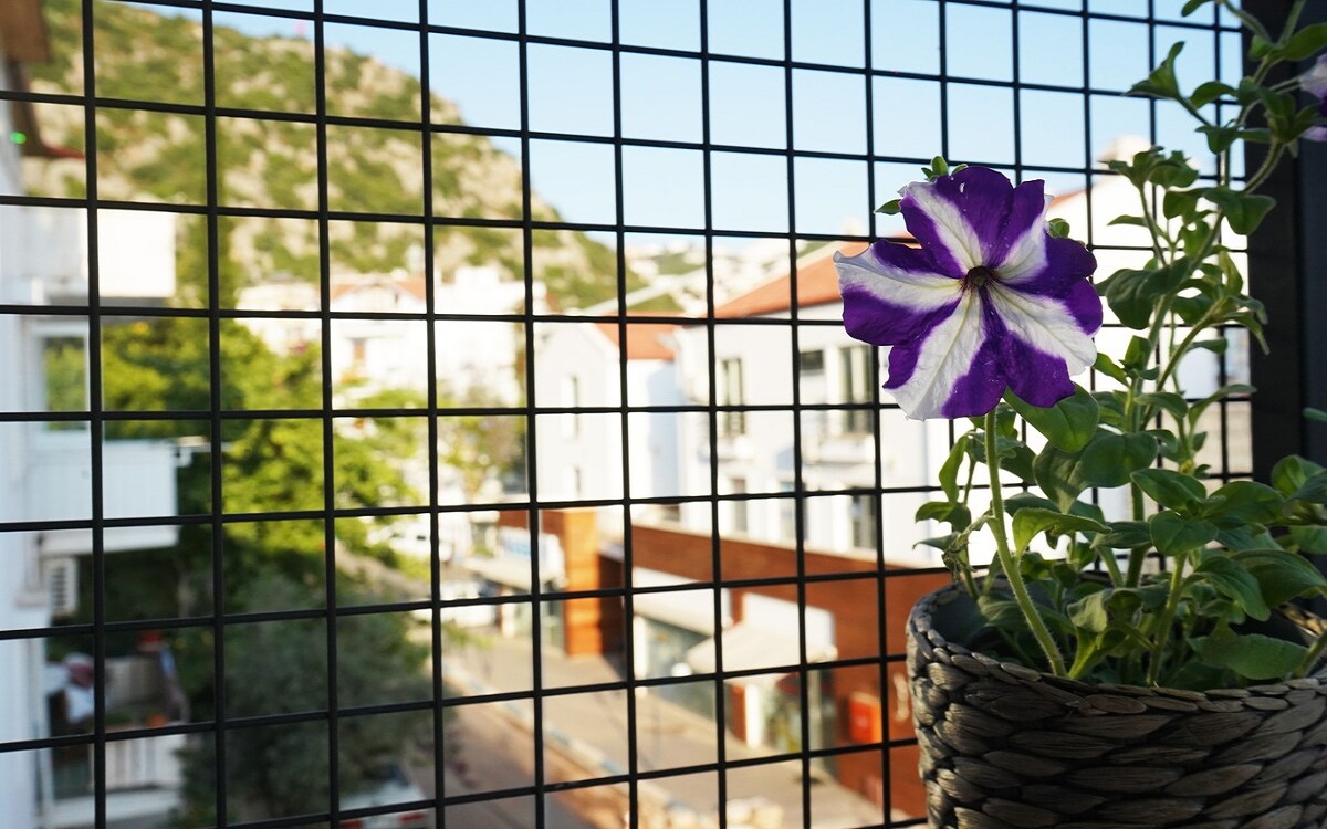 İsinda Kaş 1