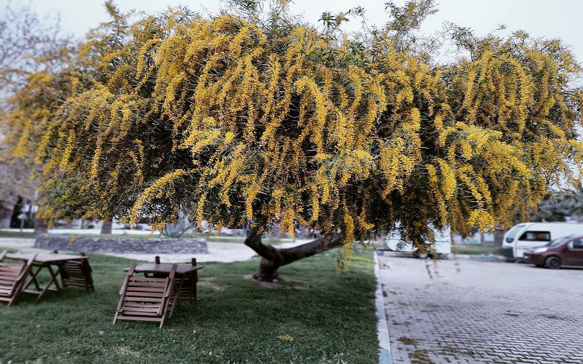 Ionia Liberty Stone Hotel 2