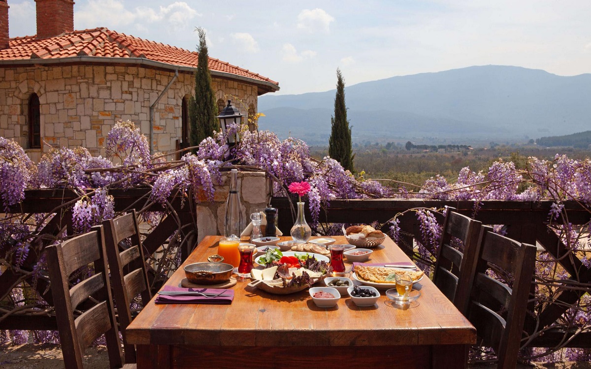 Vinifera Hotel Yedi Bilgeler Vineyards 4