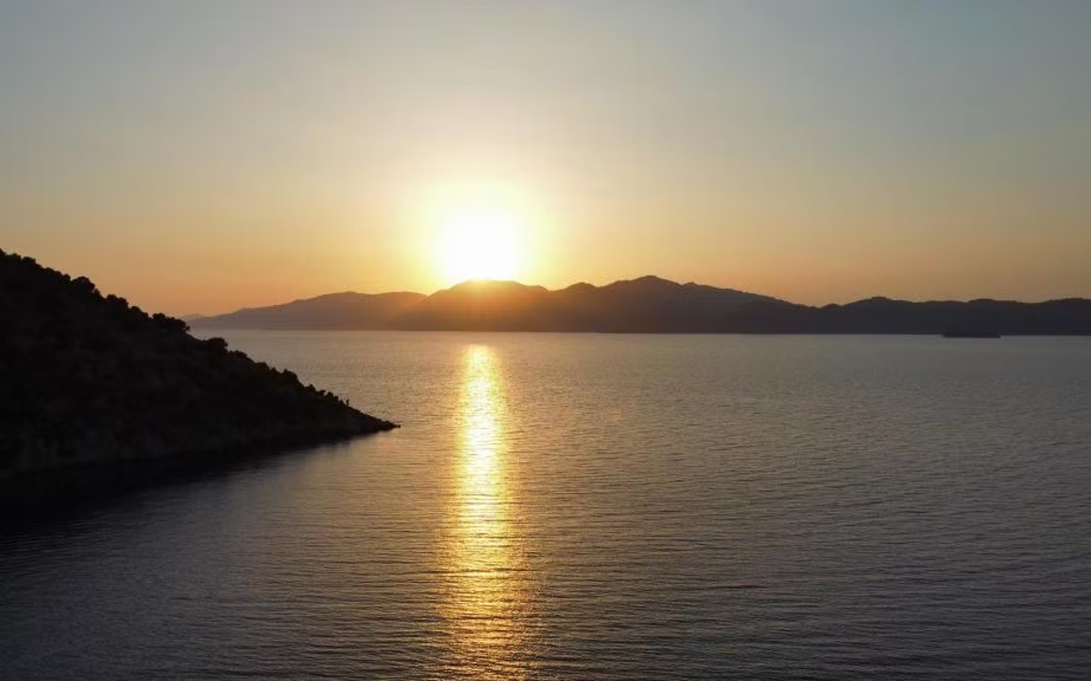 Palmetto Resort Hotel 2