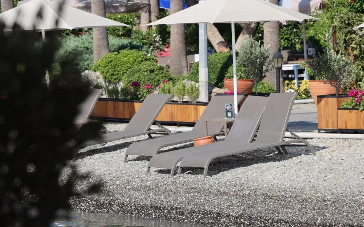 Palmetto Resort Hotel 4