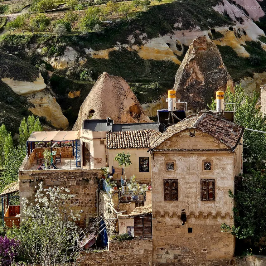 Dancing Cloud Art Pansion