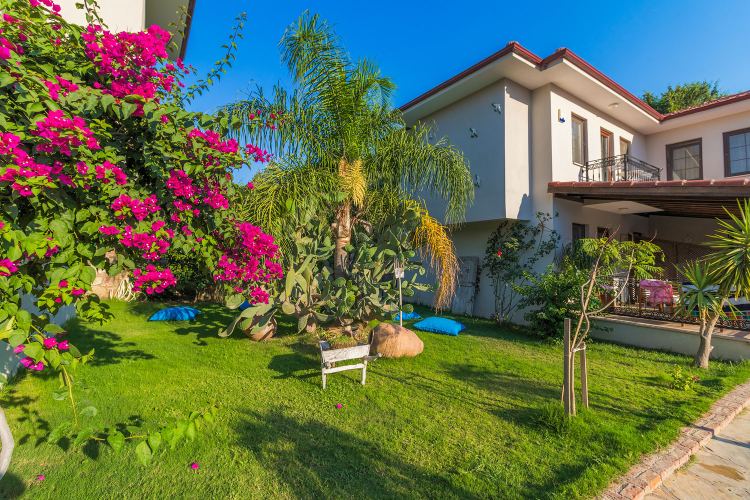 Mavi Deniz Konuk Evi 3